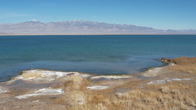 青海小柴旦湖碧绿色湖泊美景